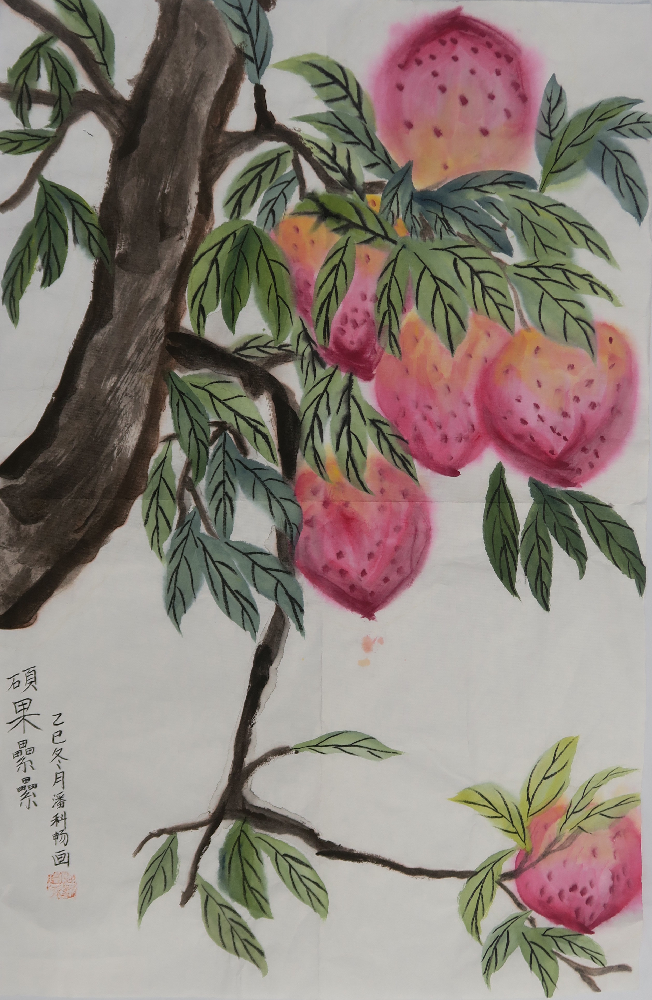 潘科畅（大芬）