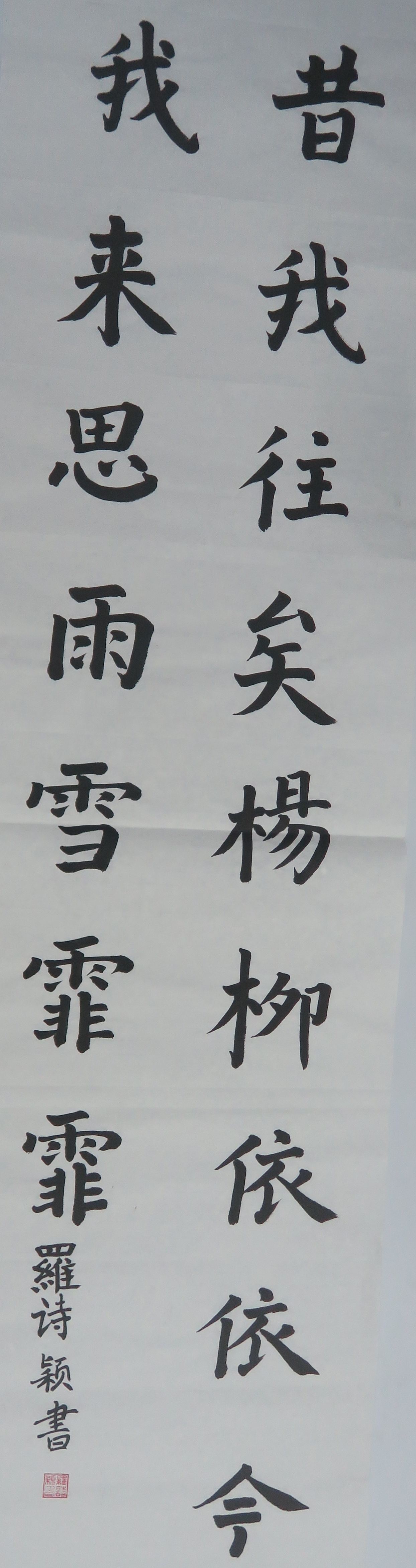 罗诗颖（前海）